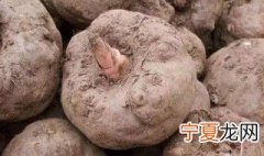 减肥能吃魔芋吗 减肥可以多吃魔芋吗