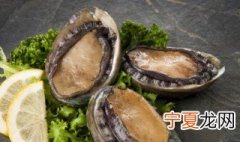 鲍鱼头是怎么计算的 怎么计算鲍鱼头