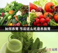 什么东西最养胃