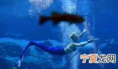美人鱼在西方国家的寓意 不同地区不同寓意