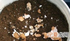 鸡蛋壳做花肥是酸性还是碱性 鸡蛋壳做花肥是酸性吗