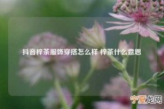 抖音梓茶服饰穿搭怎么样 梓茶什么意思