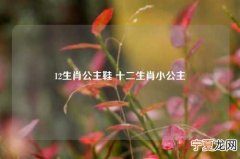 12生肖公主鞋 十二生肖小公主