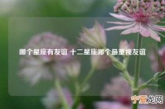 哪个星座有友谊 十二星座哪个最重视友谊