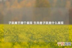 子鼠属于哪个星座 生肖是子鼠是什么星座