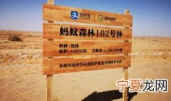 蚂蚁森林怎么快速种树 如何在支付宝蚂蚁森林快速种树