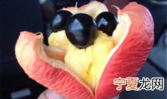 世界上最危险的水果 世界上最危险的水果排名