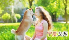 梦见一群小狗是什么意思 梦见一群小狗是什么意思啊