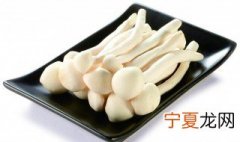 海鲜菇和白玉菇一样吗 海鲜菇和白玉菇是同一品种吗