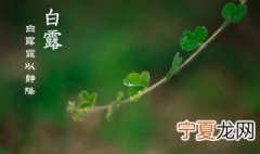 白露是农历几月几日 白露是农历几月几日呢