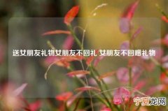 送女朋友礼物女朋友不回礼 女朋友不回赠礼物