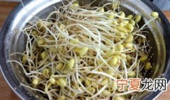 生黄豆芽简易新方法 生黄豆芽方法介绍