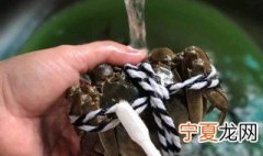 如何清洗河蟹 怎么清洗河蟹