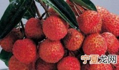 桂平勒荔是桂味荔枝吗 桂平勒荔是什么荔枝