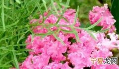 回学校什么梗的简单介绍