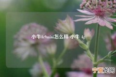 小牛4z9mini怎么样 小牛 4g