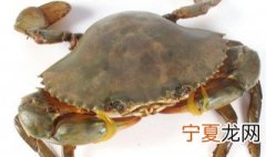 大闸蟹是青蟹还是黄蟹 大闸蟹和青蟹区别