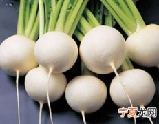 5个史上治脚臭最有效的方法 怎么能治脚臭最有效的方法