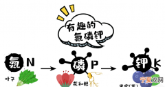 氮怎么读，“氮”字怎么读