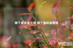 哪个星座最歹毒 哪个星座最狠毒