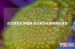 送女朋友礼物猪蹄 送女朋友礼物猪蹄的寓意
