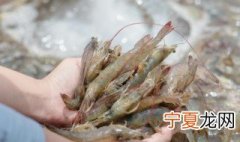 淡水虾养殖 淡水虾养殖技术