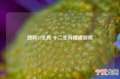 团购12生肖 十二生肖团建游戏