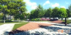 SketchUp中如何导入图片