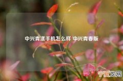 中兴青漾手机怎么样 中兴青春版