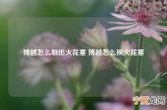 博越怎么取出火花塞 博越怎么换火花塞