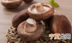 怎么挑选鲜香菇 新鲜香菇怎样挑选才是最好的
