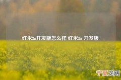 红米2a开发版怎么样 红米2a 开发版