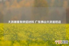大沥哪里有烘焙材料 广东佛山大沥蛋糕店