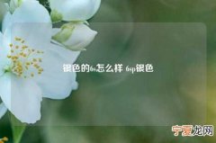 银色的6s怎么样 6sp银色