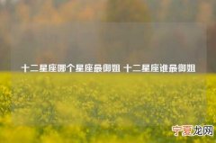 十二星座哪个星座最御姐 十二星座谁最御姐