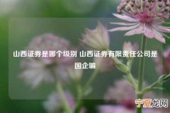 山西证券是哪个级别 山西证券有限责任公司是国企嘛