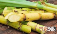 甘蔗常用扦插的方法进行繁殖 甘蔗如何育苗和移栽