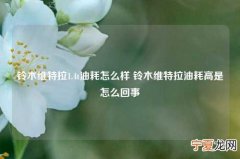 铃木维特拉1.4t油耗怎么样 铃木维特拉油耗高是怎么回事