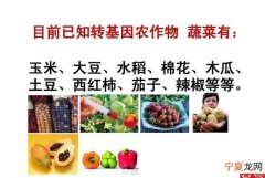 什么叫转基因，农产品为什么要转基因