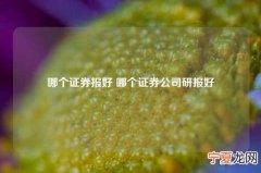 哪个证券报好 哪个证券公司研报好