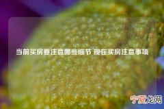 当前买房要注意哪些细节 现在买房注意事项