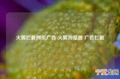 火狐拦截网页广告 火狐浏览器 广告拦截