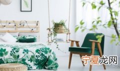室内有漆异味怎样去? 如何有效去除室内漆的气味