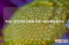 先花一亿元为什么驳回 先花一亿元现在叫什么