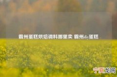 霸州蛋糕烘焙调料哪里卖 霸州diy蛋糕
