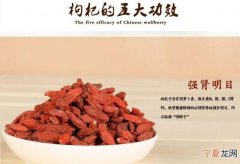 枸杞子的功效