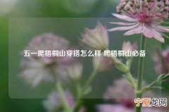 五一爬梧桐山穿搭怎么样 爬梧桐山必备