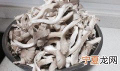 凤尾菇培养方法 凤尾菇栽培技术介绍