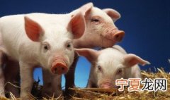取名字大全男孩免费起名 取名字大全男孩免费2021