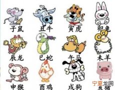 小学12生肖作品 十二生肖小学课文原文